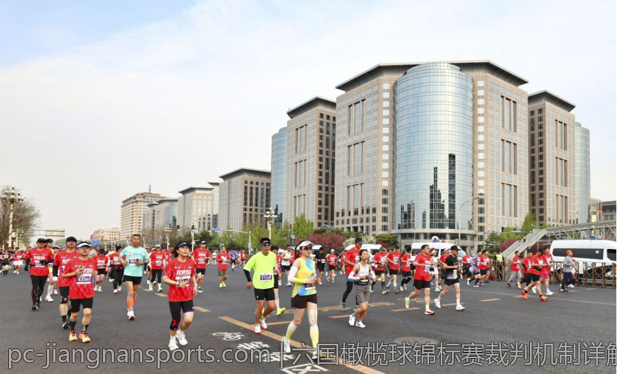 六国橄榄球锦标赛裁判机制详解
